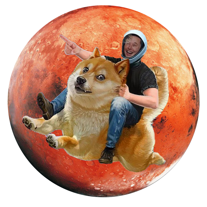 Doge-1 logo
